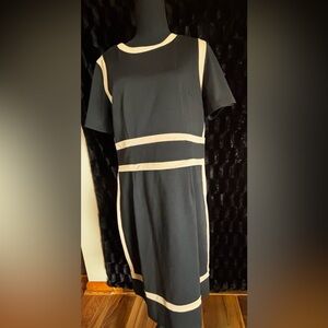 Miusol xl Black and Cream Contrast Waist Dress